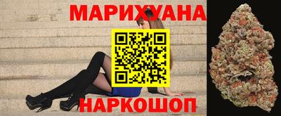 гидра Шахты