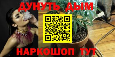 гидра Шахты
