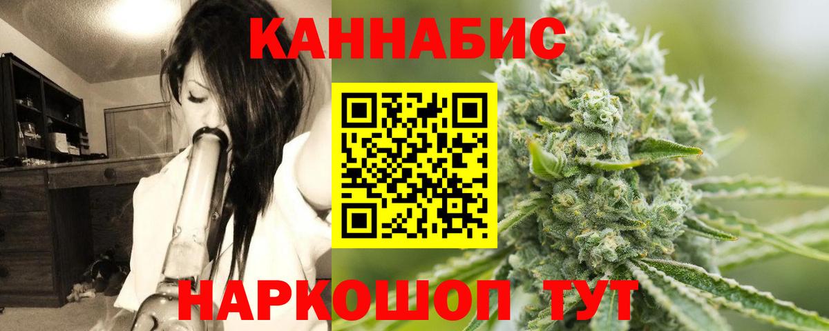 Конопля сатива Котовск